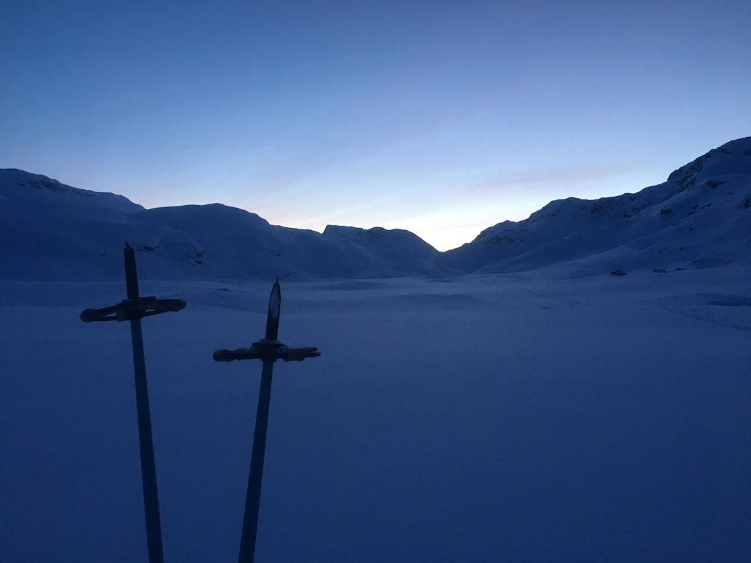 Den vakre blåtimen i Iungsdalen. Den vakre blåtimen i Iungsdalen.