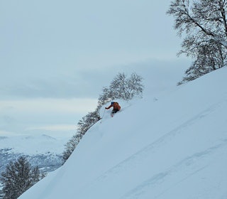 TO DAGER SKISESONG: En todagers skisesong i Oppdal avløses forhåpentligvis snart av en lengre sesong. Men snøværsdag 2 av 2 var veldig fin! Foto: Ole Jørgen Lian skikjører i fin snø med trær