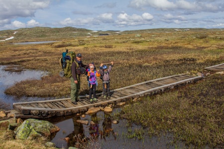 OVERGANG: Klopper og broer sørger for trygg ferdsel. Foto:  Bård Bjerkeli bro familie hardangervidda