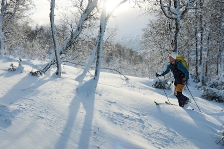 STORSLÅTTE STORLIDALEN: Randolegenden Ola Berger brøyter spor. Foto: Bård Smestad STORSLÅTTE STORLIDALEN: Randolegenden Ola Berger brøyter spor. Foto: Bård Smestad