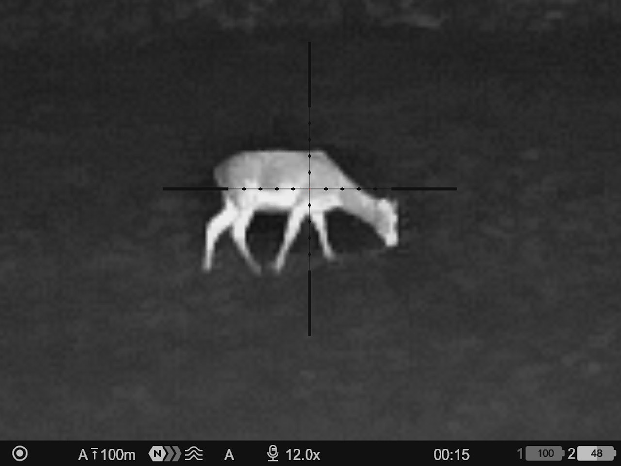 HJORT: Det ser likevel ut til å bli unntak for bruk av termiske sikter på hjort. HJORT: Det ser likevel ut til å bli unntak for bruk av termiske sikter på hjort.