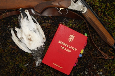 MODERNISERT: Med den nye viltressursloven, har den over 40 år gamle viltloven fått en omfattende oppdatering.  MODERNISERT: Med den nye viltressursloven, har den over 40 år gamle viltloven fått en omfattende oppdatering.