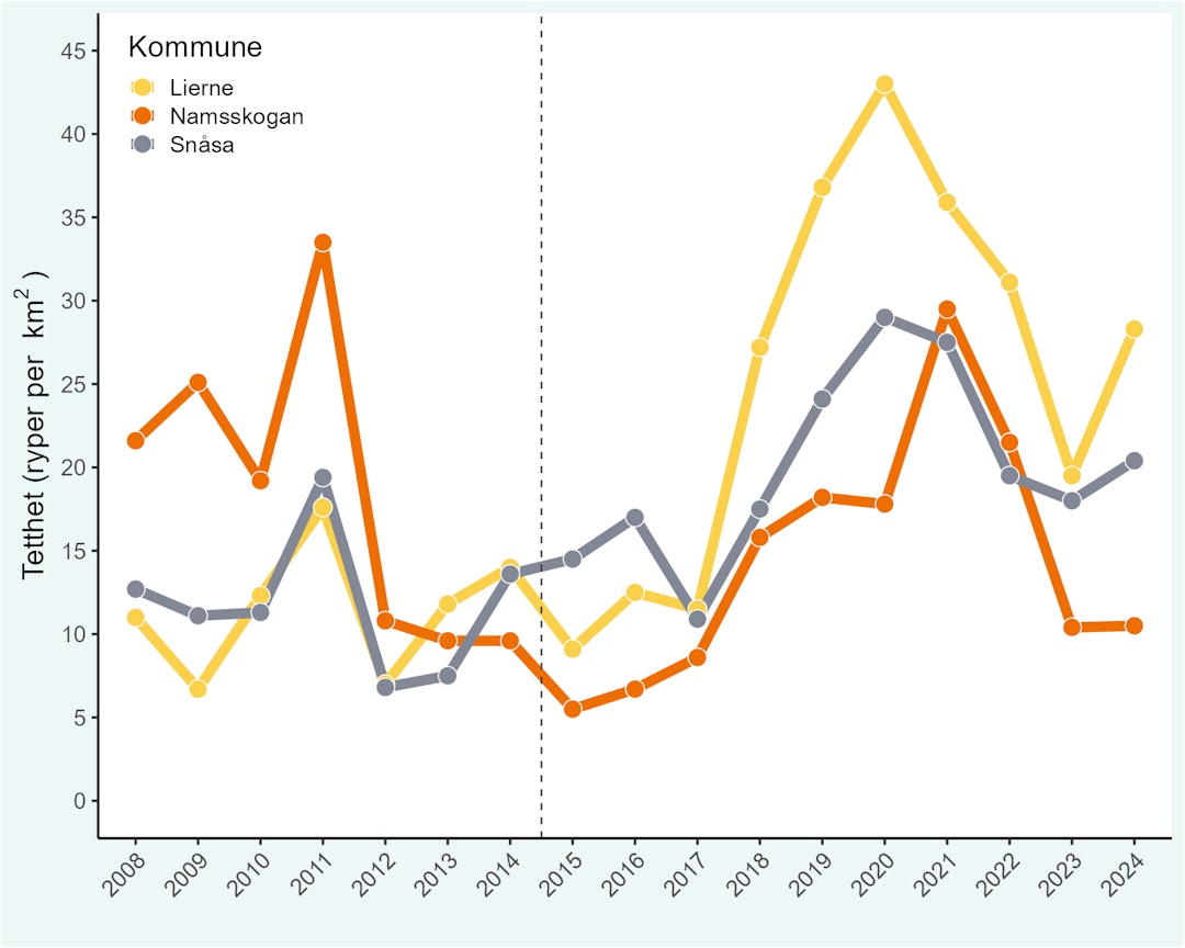RYPETETTHET: Rypetakseringsdata og fellingsstatistikker fra statsallmenningene viser at Lierne har hatt en positiv utvikling av rypetettheten etter oppstarten av Jakt i Lierne, sammenlignet med nabokommunene Snåsa og Namsskogan. Stiplet stolpe indikerer oppstart for JiL-prosjektet. Foto: Jakt i Lierne RYPETETTHET: Rypetakseringsdata og fellingsstatistikker fra statsallmenningene viser at Lierne har hatt en positiv utvikling av rypetettheten etter oppstarten av Jakt i Lierne, sammenlignet med nabokommunene Snåsa og Namsskogan. Stiplet stolpe indikerer oppstart for JiL-prosjektet. Foto: Jakt i Lierne
