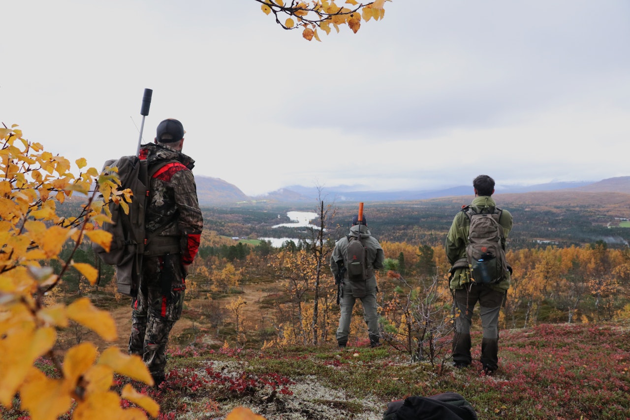 LOKALT STYRE: Beiarn og Bardu krever samme rettigheter som kommuner sørpå, de vil danne lokale fjellstyrer og ta over forvaltningen fra Statskog. Arkivfoto: Kjell-Harald Myrseth Elgjegere på jakt i Bardu / Indre Troms