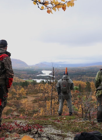 DRIVJAKT: Drivere og hundeførere har kommet fram til postrekka ved østgrensa. Foto: Kjell-Harald Myrseth DRIVJAKT: Drivere og hundeførere har kommet fram til postrekka ved østgrensa. Foto: Kjell-Harald Myrseth