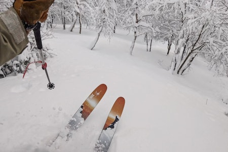 100 CM PUDDER: Asbjørn Eggebø Næss finner godsakene med Ola Hovdenak og Tindevegleder Tor Olav Naalsund i skogsområdene rundt Storlidalen i Oppdal kommune. 100 CM PUDDER: Asbjørn Eggebø Næss finner godsakene med Ola Hovdenak og Tindevegleder Tor Olav Naalsund i skogsområdene rundt Storlidalen i Oppdal kommune.