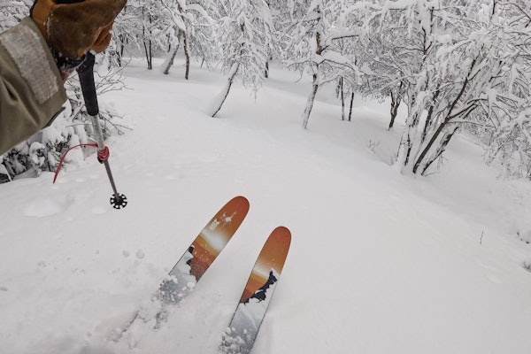 100 CM PUDDER: Asbjørn Eggebø Næss finner godsakene med Ola Hovdenak og Tindevegleder Tor Olav Naalsund i skogsområdene rundt Storlidalen i Oppdal kommune. 100 CM PUDDER: Asbjørn Eggebø Næss finner godsakene med Ola Hovdenak og Tindevegleder Tor Olav Naalsund i skogsområdene rundt Storlidalen i Oppdal kommune.