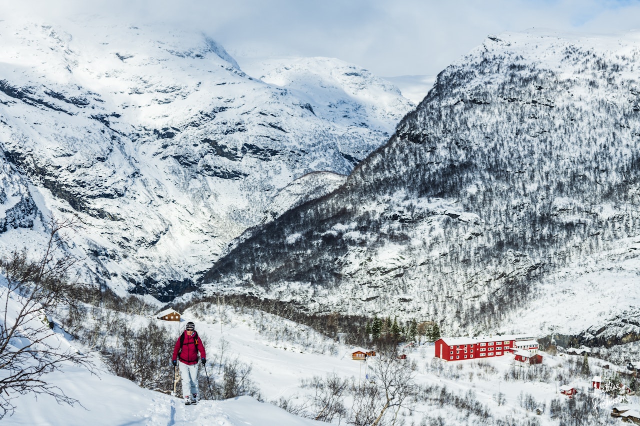 Vatnahalsen i vinterdrakt. Foto: Mattias Fredriksson Vatnahalsen i vinterdrakt. Foto: Mattias Fredriksson