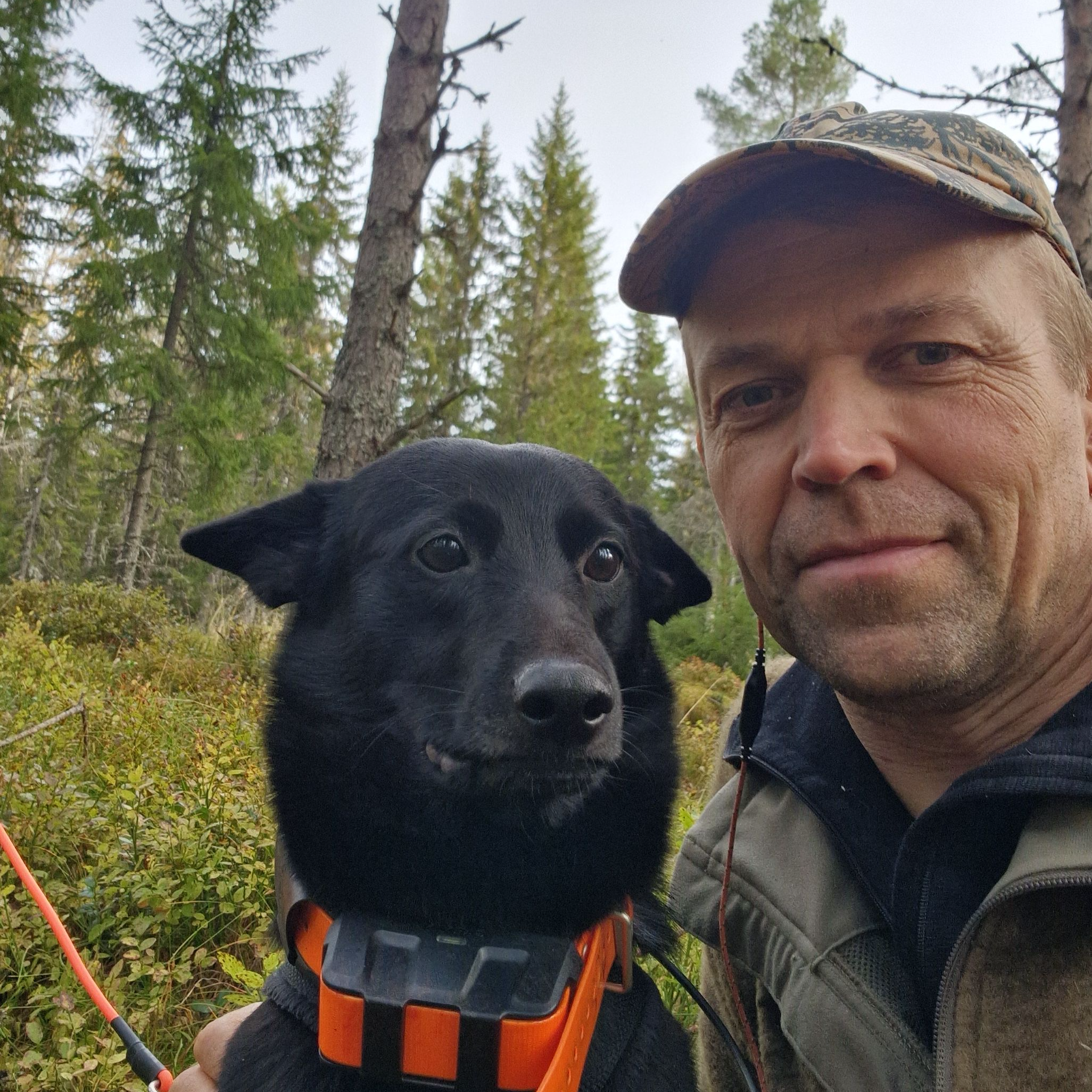 SLUTT FOR BRØLEJAKTA: Fagsjef Jo Inge Breisjøberget i Statskog mener det bør innføres bukkefredning i oktober. Foto: Privat