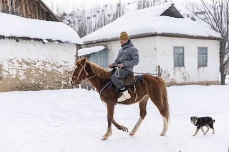 HESTEKREFTER: De firbente dyrene brukes mye som arbeidsredskap, men også til litt lek og fritidssyssel i landsbyen. Foto: Joey Sackett HESTEKREFTER: De firbente dyrene brukes mye som arbeidsredskap, men også til litt lek og fritidssyssel i landsbyen. Foto: Joey Sackett