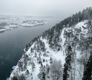 NORGE GROR IGJEN: Landets fjell, vidder og utmark langs kysten er på vei til å lukkes av gjengroing. Bildet er fra Håøya langs Oslofjorden. Foto: Christian Nedrum gjengroing