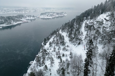 NORGE GROR IGJEN: Landets fjell, vidder og utmark langs kysten er på vei til å lukkes av gjengroing. Bildet er fra Håøya langs Oslofjorden. Foto: Christian Nerdrum gjengroing