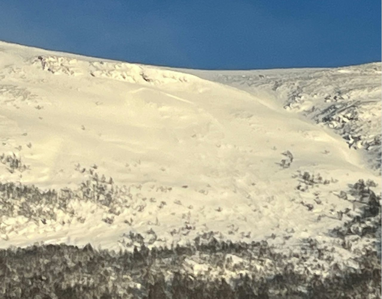 SKRED I OPPDAL: Dette snøskredet gikk vest for Vangslia i Oppdal. Foto: Pål Røsrud snøskred i fjellet