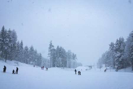 SKIDAG: Linderudkollen er et fint utgangspunkt for små og store skiturer. Foto: Gunhild Aa. Soldal personer på ski