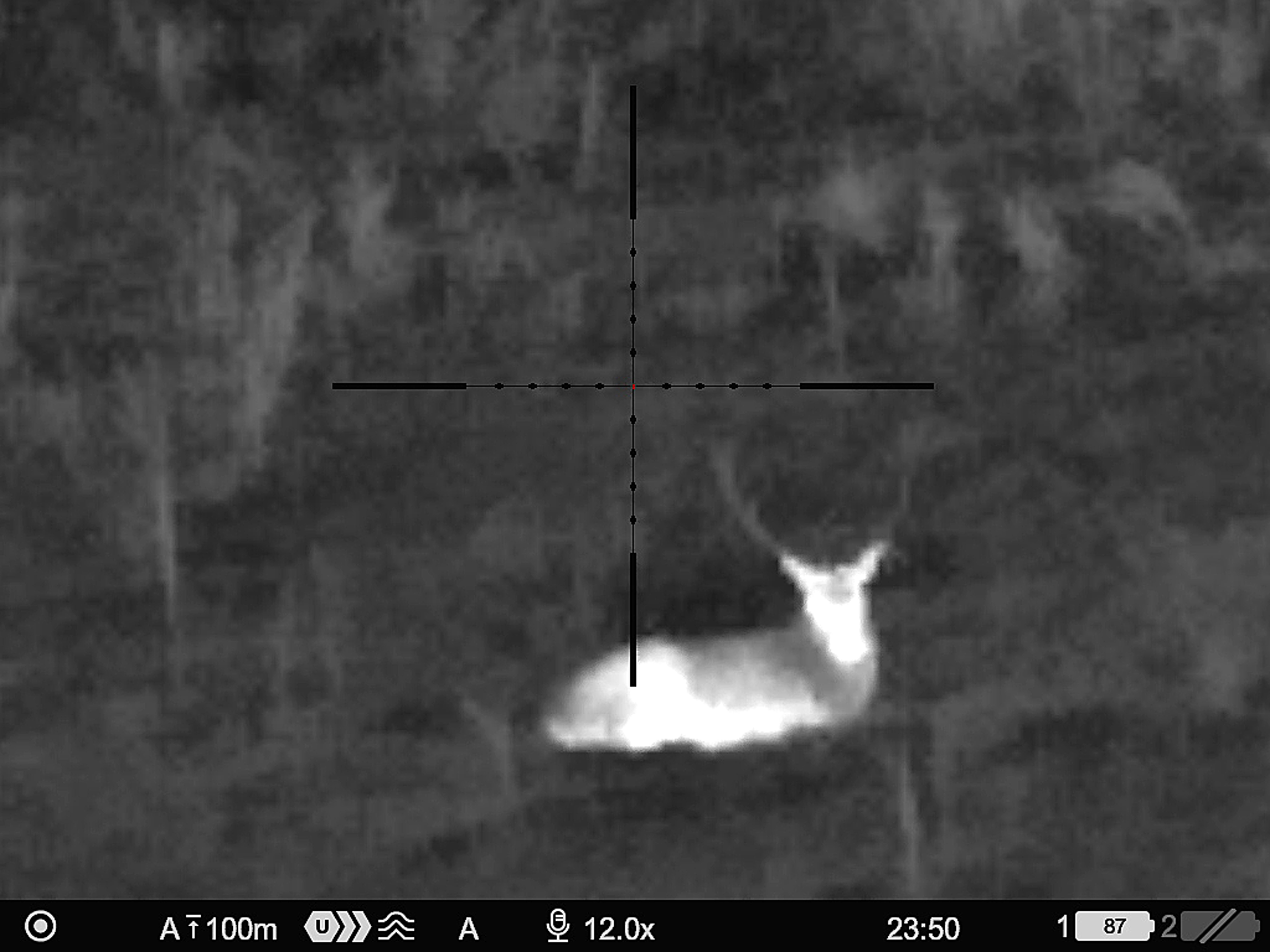 GEVIR: Noe av det termisk optikk er dårligst til er å bedømme gevir. Noen ganger synes de nesten ikke og som oftest er de større enn de ser ut i siktet.