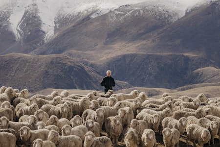BAKKEMANNSKAP: Craig Smith bor på Sørøya i New Zealand. Han følger opp gårdene direkte, og støtter Devolds bønder gjennom året. Smith velger ut nye gårder i nært samarbeid med bøndene. Foto: Devold craig smith devold