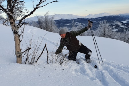 TRADISJONSRIKT: Rypegarden skal være kort, og gjerne inntil ei bjørk. Sjur Sande er på røktetur. Foto: Norsk håndverksinstitutt TRADISJONSRIKT: Rypegarden skal være kort, og gjerne inntil ei bjørk. Sjur Sande er på røktetur. Foto: Norsk håndverksinstitutt