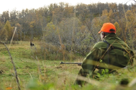 FORVALTNING: Det er ønskelig med økt fokus på dyra som går igjen etter jakta. Det er disse vi skal forvalte videre på. FORVALTNING: Det er ønskelig med økt fokus på dyra som går igjen etter jakta. Det er disse vi skal forvalte videre på.