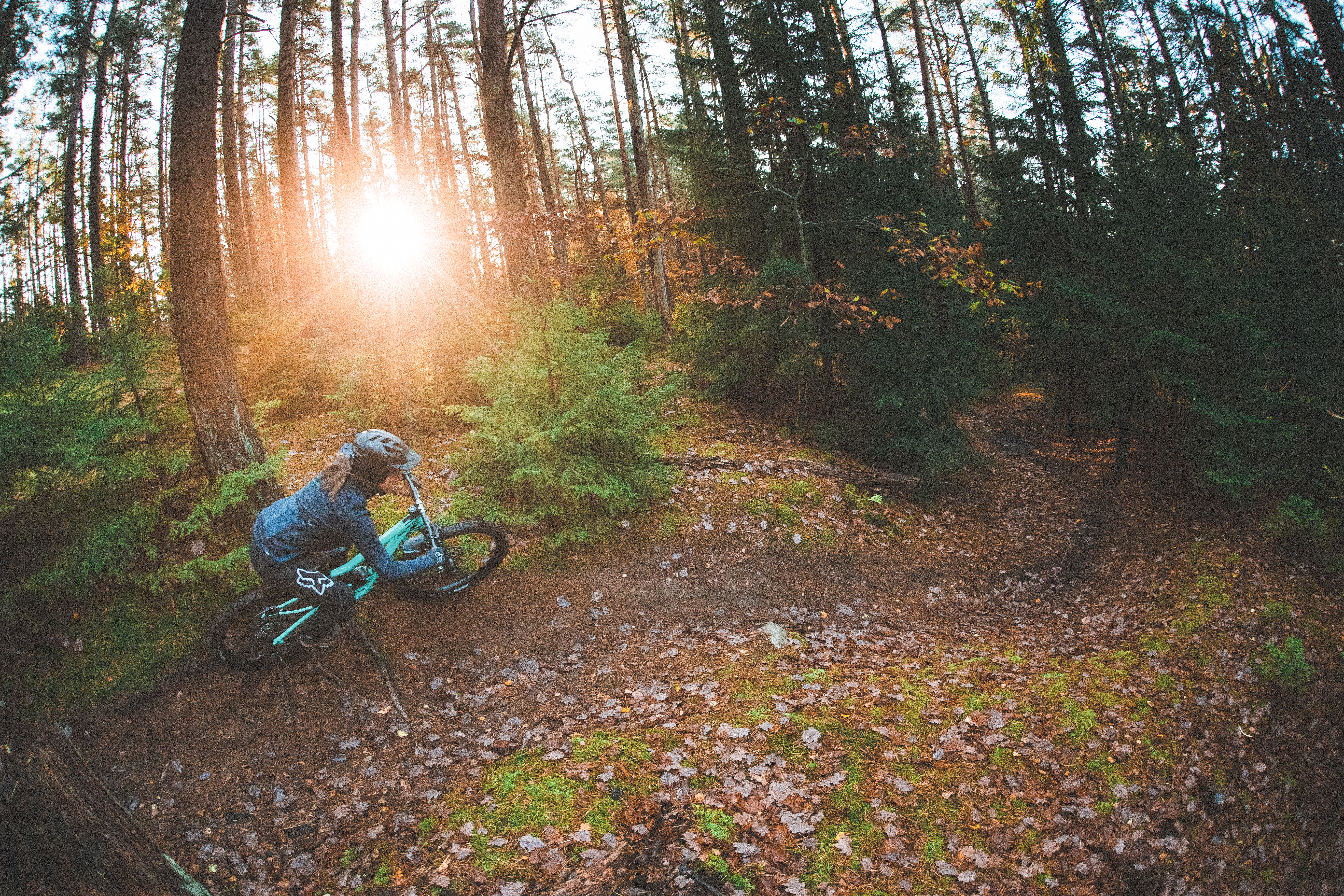 syklist på sti med solgløtt gjennom trærne