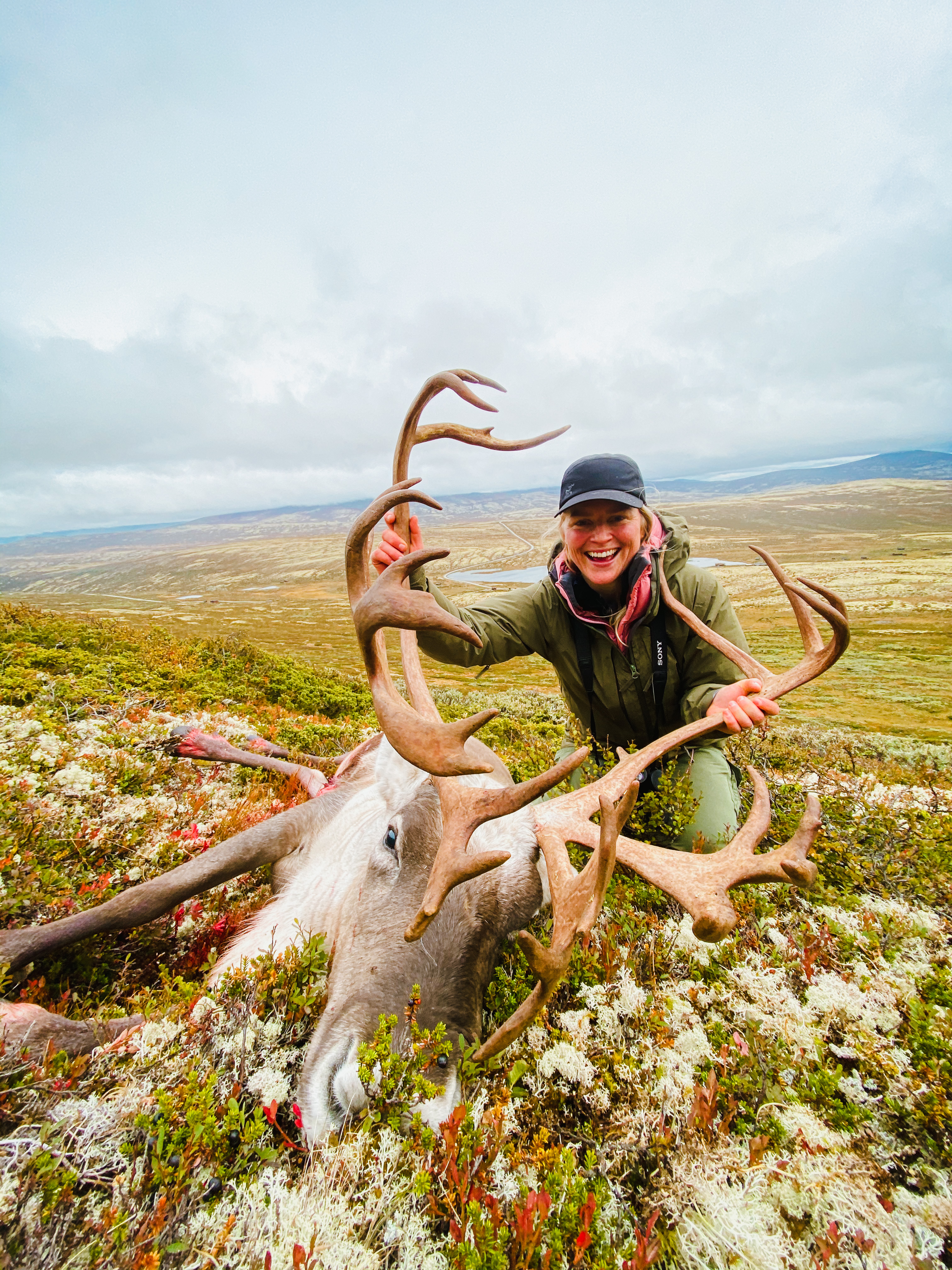 Jaktguide til Rondane villreinområde | JEGER.NO