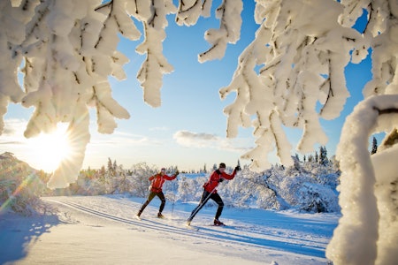 LANG UT: I langrennssporene rundt Trysil kan du gå milevis på ski. Totalt er det over 500 kilometer med langrennsløyper 100 av dem ligger i og rundt Trysilfjellet. Foto: Ola Matsson to menn på skitur i preppa løype