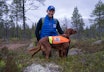 HØST: Andreas Bjørn mener at Toxic er en utpreget høsthund da hun har oppnådd 12 av 14 premier om høsten. Her gjør de seg klar til finalen i NM-skog 2024. HØST: Andreas Bjørn mener at Toxic er en utpreget høsthund da hun har oppnådd 12 av 14 premier om høsten. Her gjør de seg klar til finalen i NM-skog 2024.