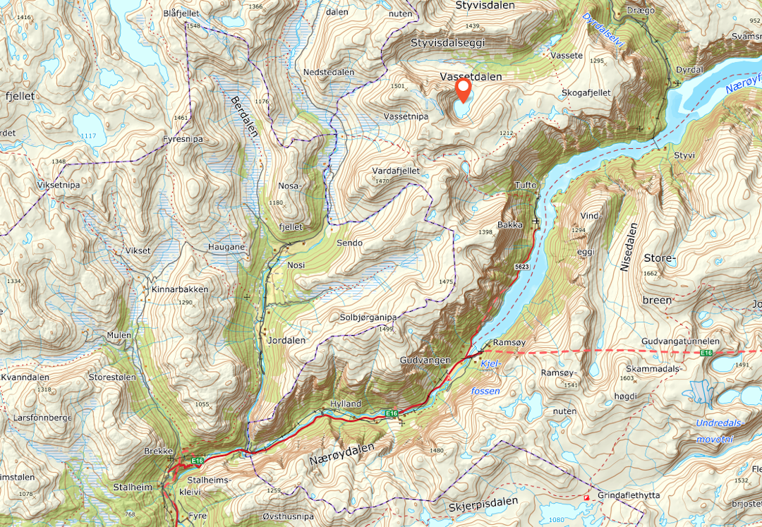 SKREDOMRÅDET: Skredet er gått på vestsiden av Vassbotnvatnet. Foto: Norgeskart SKREDOMRÅDET: Skredet er gått på vestsiden av Vassbotnvatnet. Foto: Norgeskart