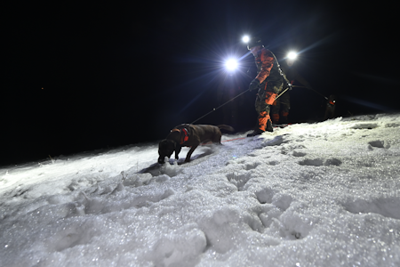 HØY INTENSITET: Ettersøksekvipasjen er jegerens forlengede arm. Her representert ved Ingmar Slettemark og Greven, en bayersk viltsporhund som er rendyrket ettersøkshund. HØY INTENSITET: Ettersøksekvipasjen er jegerens forlengede arm. Her representert ved Ingmar Slettemark og Greven, en bayersk viltsporhund som er rendyrket ettersøkshund.