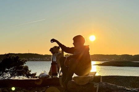FÅ METER OVER HAVET: Veien til fine naturopplevelser trenger ikke å være så lang. Foto: Jon Arve Holmberg solnedgang ved sjøen