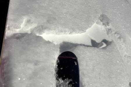 SKYTENDE SPREKKER: Nysnøen sprekker rundt skituppene til Frode Hansen. Fra Lyngen fredag 11.april. Foto: Frode Hansen skitupper og snø