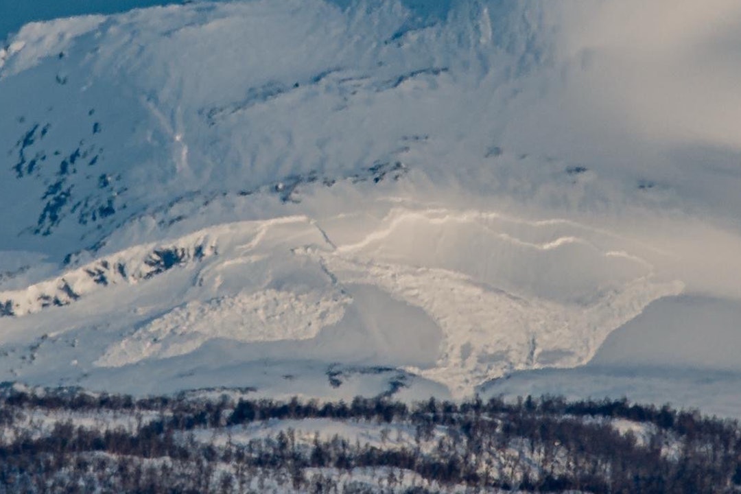 HELGELAND: Stort flakskred i Hemnes. Foto: gøran@obskorps/regobs snøskred
