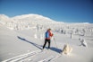 Å HA DAGEN: Det er det vi drømmer om. Her mot Svangkampen. Foto: Øyvind Salvesen Å HA DAGEN: Det er det vi drømmer om. Her mot Svangkampen. Foto: Øyvind Salvesen