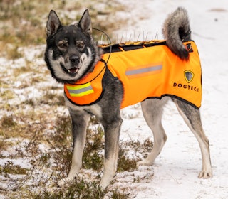 BESKYTTELSE: Dogtech One Gen 2 er en allsidig vest som gjør jobben som jakthund langt tryggere. BESKYTTELSE: Dogtech One Gen 2 er en allsidig vest som gjør jobben som jakthund langt tryggere.