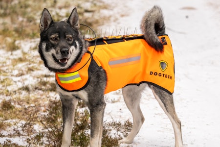 BESKYTTELSE: Dogtech One Gen 2 er en allsidig vest som gjør jobben som jakthund langt tryggere. BESKYTTELSE: Dogtech One Gen 2 er en allsidig vest som gjør jobben som jakthund langt tryggere.