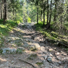 VEI I VELLINGA: Denne stien mellom Blankvannsbråten og Kobberhaugshytta er snart historie. Foto. Simon Klakegg. VEI I VELLINGA: Denne stien mellom Blankvannsbråten og Kobberhaugshytta er snart historie. Foto. Simon Klakegg.