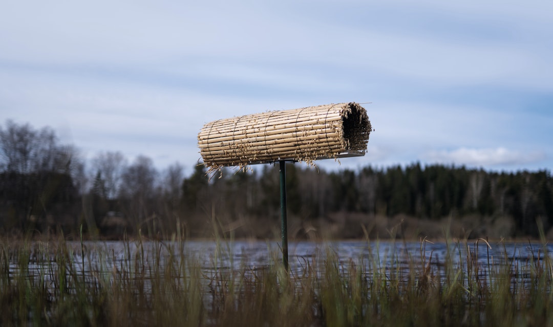 NATURLIG PLASSERING: Et anderør godt skjult i sivet gir god hekkeplass og et vakkert innslag i landskapet. Se vår videoguide i artikkelen som viser hvor enkelt det er å lage dem selv. NATURLIG PLASSERING: Et anderør godt skjult i sivet gir god hekkeplass og et vakkert innslag i landskapet. Se vår videoguide i artikkelen som viser hvor enkelt det er å lage dem selv.