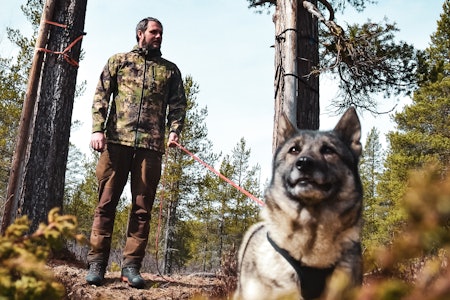 ELGJAKT: Lars Olav Moen og gråhunden Noor ser fram til å ha med seg seks ferske elgjegere på jakt i Trøndelag høsten 2026. Foto: Linda Døsen Stubsveen ELGJAKT: Lars Olav Moen og gråhunden Noor ser fram til å ha med seg seks ferske elgjegere på jakt i Trøndelag høsten 2026.  Foto: Linda Døsen Stubsveen