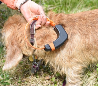 SUVEREN DEKNING: Sammenlignet med andre mobilbaserte hundepeilere fungerer Tracker Luna mye bedre i områder med marginal mobildekning. SUVEREN DEKNING: Sammenlignet med andre mobilbaserte hundepeilere fungerer Tracker Luna mye bedre i områder med marginal mobildekning.