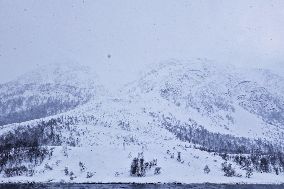 STORT: Snøskred í Lyngen i midten av mars. Foto: Hallvard@SkredAS/regobs snøskred og tåke i fjellet