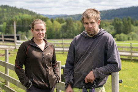 LETTET: Marita og Jonas er lettet over at bjørnen er felt, og håper nå at sauene deres kan beite trygt i fjellet resten av sommeren. Foto: Christer Rognerud LETTET: Marita og Jonas er lettet over at bjørnen er felt, og håper nå at sauene deres kan beite trygt i fjellet resten av sommeren. Foto: Christer Rognerud