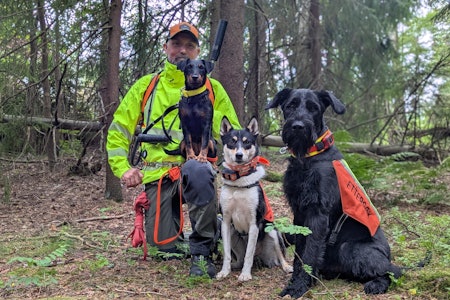 SKODD FOR OPPDRAG: Viltvakt Peder Zeiner Christiansen har fire ettersøkshunder, som dekker ulike behov ved ettersøk som viltvakt for Nordre Follo kommune. Her har han med seg tre av dem. SKODD FOR OPPDRAG: Viltvakt Peder Zeiner Christiansen har fire ettersøkshunder, som dekker ulike behov ved ettersøk som viltvakt for Nordre Follo kommune. Her har han med seg tre av dem.