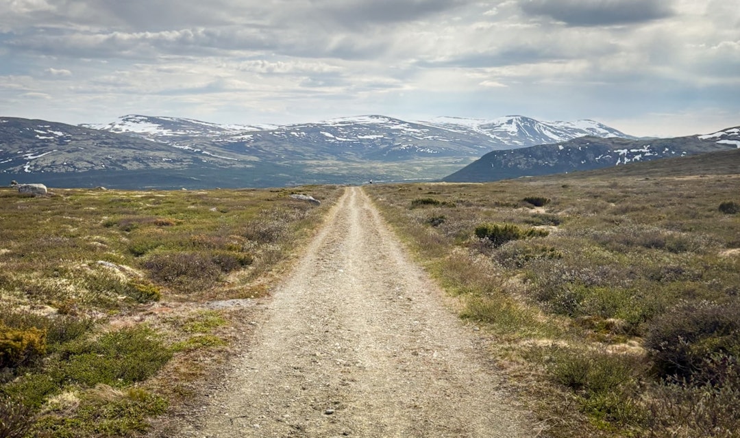 LANGT HJEM: Grus-og kjerreveiene over Dovrefjell er en høydare på turen. LANGT HJEM: Grus-og kjerreveiene over Dovrefjell er en høydare på turen.