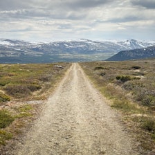 LANGT HJEM: Grus-og kjerreveiene over Dovrefjell er en høydare på turen. LANGT HJEM: Grus-og kjerreveiene over Dovrefjell er en høydare på turen.