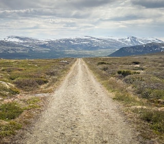 LANGT HJEM: Grus-og kjerreveiene over Dovrefjell er en høydare på turen. LANGT HJEM: Grus-og kjerreveiene over Dovrefjell er en høydare på turen.