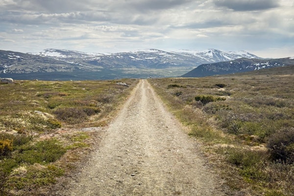 LANGT HJEM: Grus-og kjerreveiene over Dovrefjell er en høydare på turen. LANGT HJEM: Grus-og kjerreveiene over Dovrefjell er en høydare på turen.
