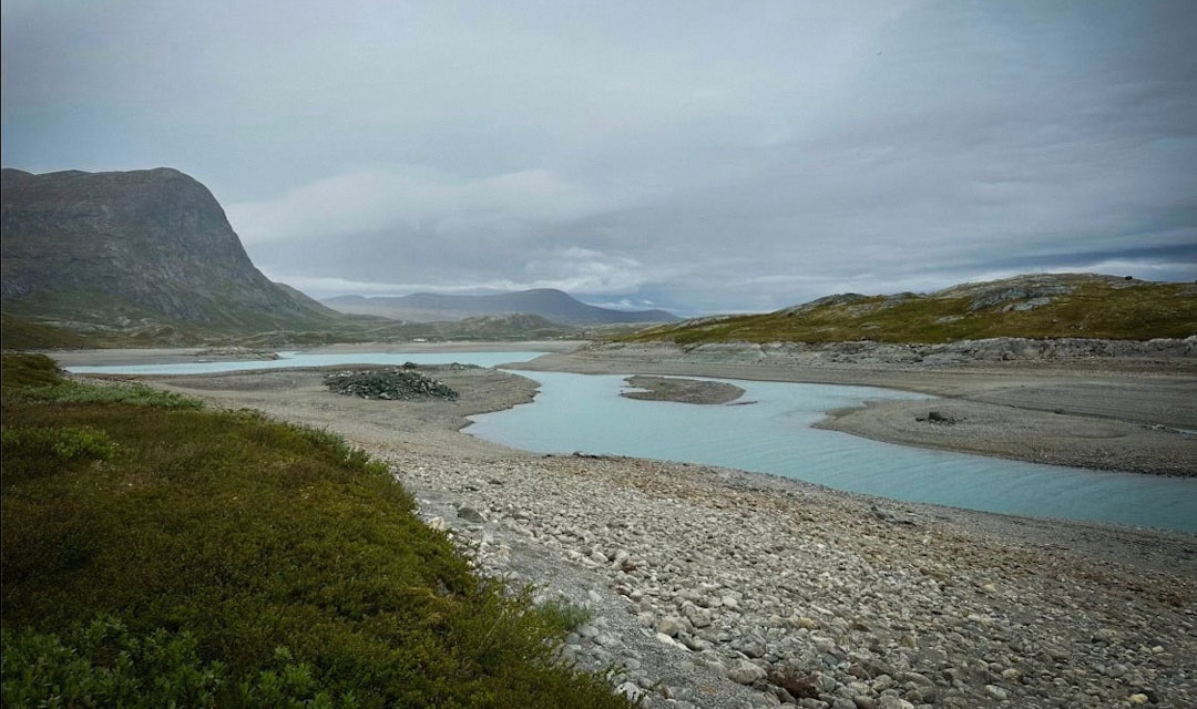 TØRRLAGT: Slik så det ut langs Bygdin 20. juni. Foto: Bibbi Hodne bygdin