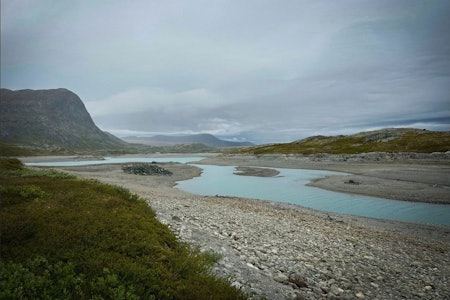 TØRRLAGT: Slik så det ut langs Bygdin 20. juni. Foto: Bibbi Hodne bygdin