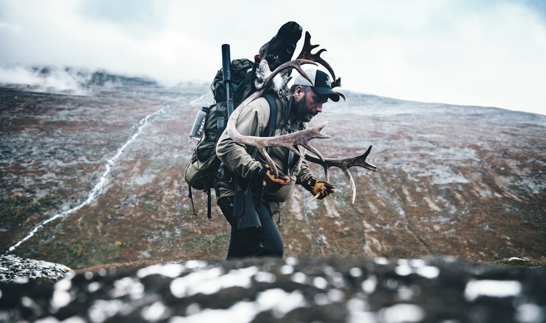 RIFLER TIL REINSJAKTA: Hva funker best når du er langt til fjells? Vi har testet ni rifler. Foto: Hans Kristian Krogh Hanssen RIFLER TIL REINSJAKTA: Hva funker best når du er langt til fjells? Vi har testet ni rifler. Foto: Hans Kristian Krogh Hanssen