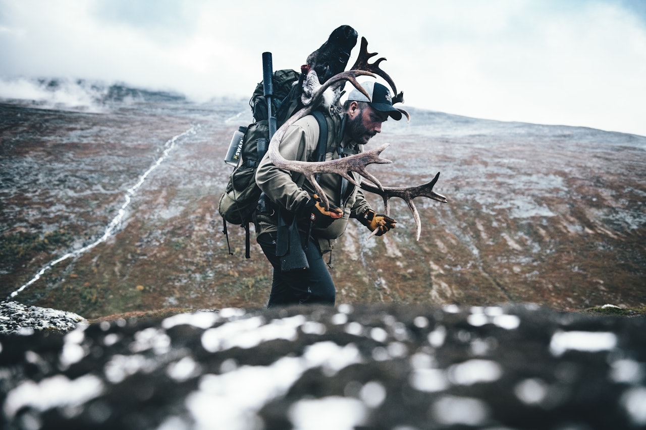 RIFLER TIL REINSJAKTA: Hva funker best når du er langt til fjells? Vi har testet ni rifler. Foto: Hans Kristian Krogh Hanssen RIFLER TIL REINSJAKTA: Hva funker best når du er langt til fjells? Vi har testet ni rifler. Foto: Hans Kristian Krogh Hanssen