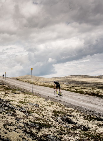 SJELDEN TOPP: Det er ikke mange steder du sykler til spissen av fjellet. Men det gjør du på Blåhø. Foto: Henrik Alpers SJELDEN TOPP: Det er ikke mange steder du sykler til spissen av fjellet. Men det gjør du på Blåhø. Foto: Henrik Alpers